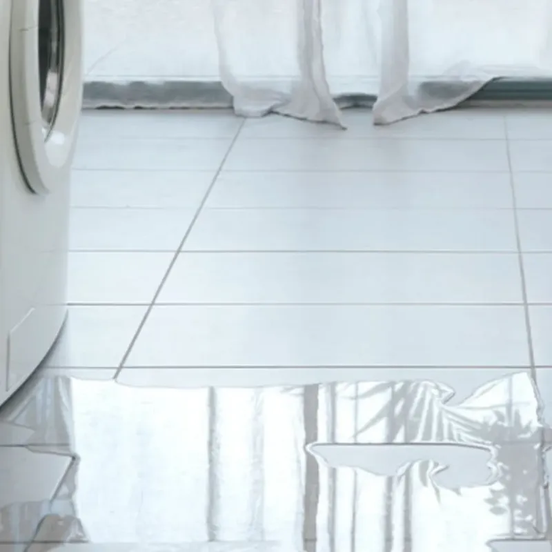 Appliance Leak Cleanup in Gray, GA